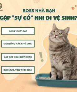 Alternative view of Cát đậu nành MICHIMO 6L – Cát vệ sinh cho mèo vón cục nhanh, khử mùi hiệu quả, không bụi