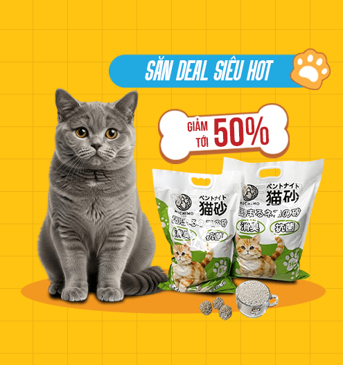 Săn deal cát mèo