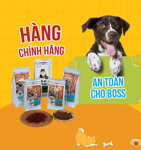 sản phẩm cát mèo chính hãng