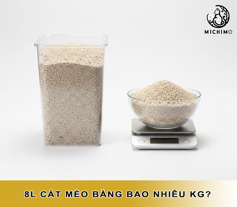 8L cát mèo bằng bao nhiêu Kg