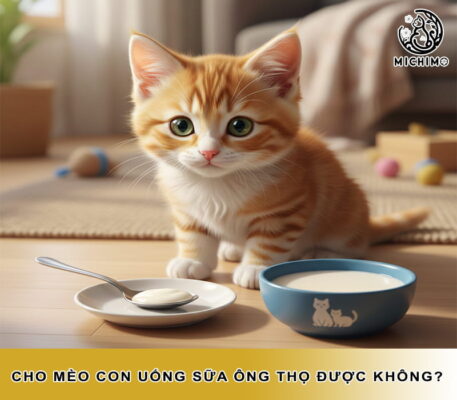 Cho mèo con uống sữa ông thọ được không