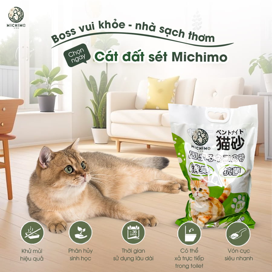 Cát đất sét Michimo