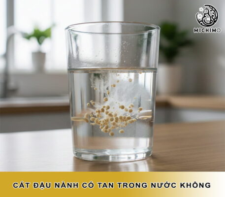 cát đậu nành có tan trong nước không