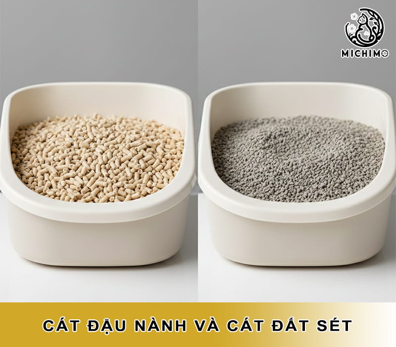Cát đậu nành và cát đấ sét