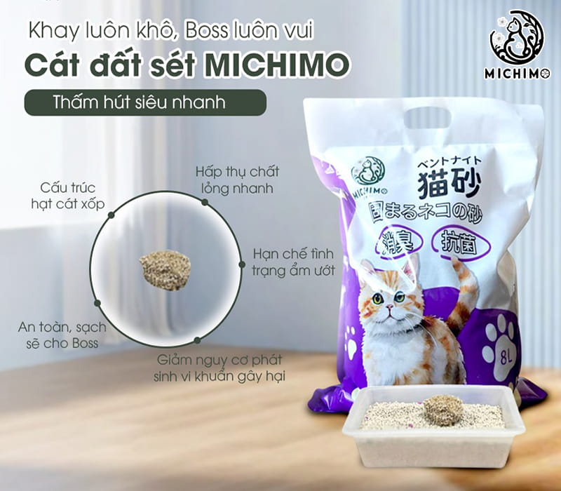 Tiêu chí lựa chọn nhà cung cấp sỉ cát mèo số lượng lớn tại Việt Nam