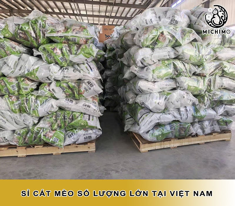 Sỉ cát mèo số lượng lớn tại Việt Nam