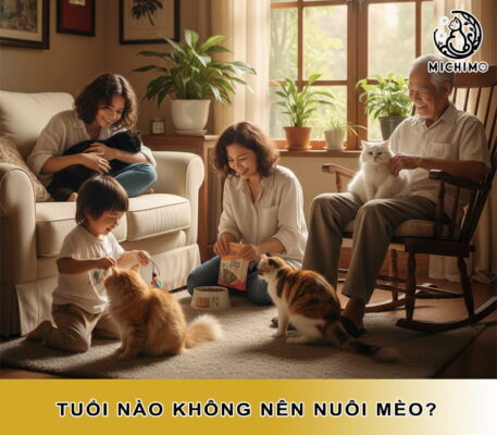 Tuổi nào không nên nuôi mèo