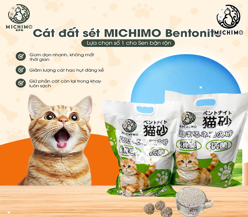 Thành phần chính của cát đất sét (Bentonite)