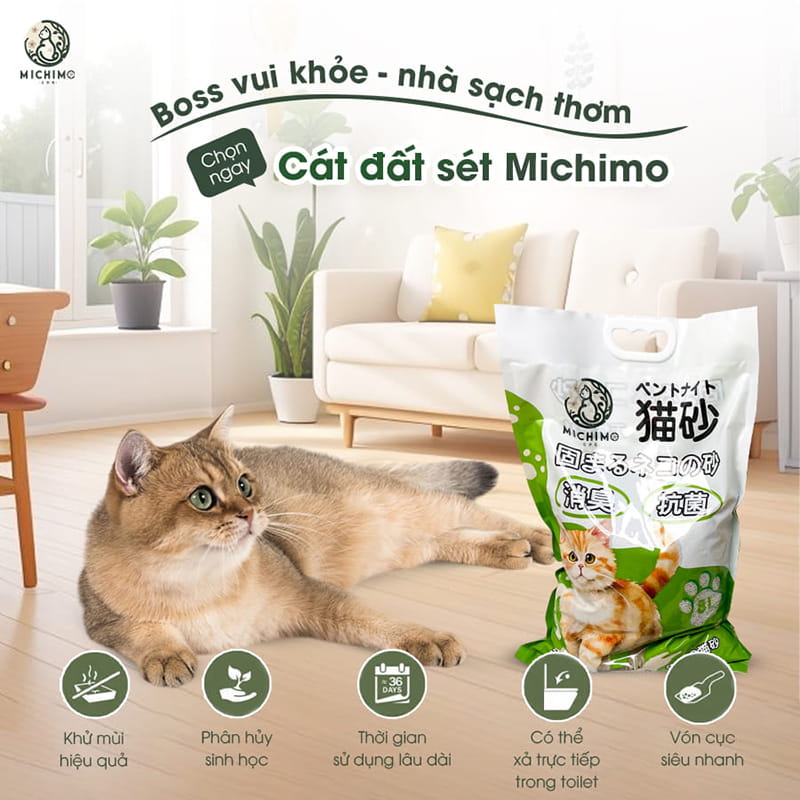 Cát đất sét là gì?