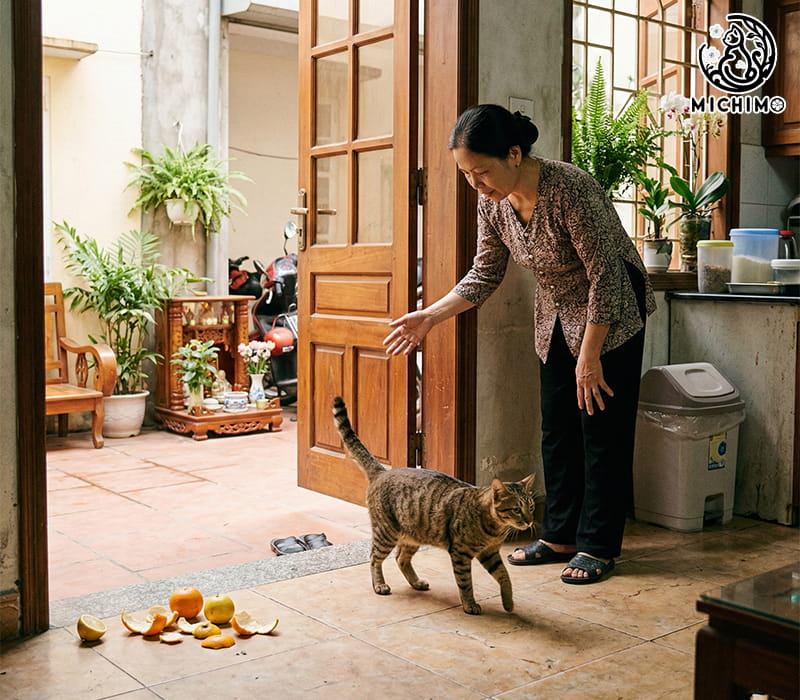 Nếu bạn không muốn nuôi – Cách xua đuổi nhân văn