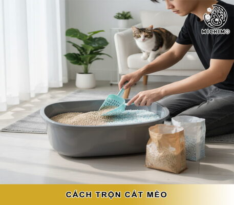 Cách trộn cát mèo