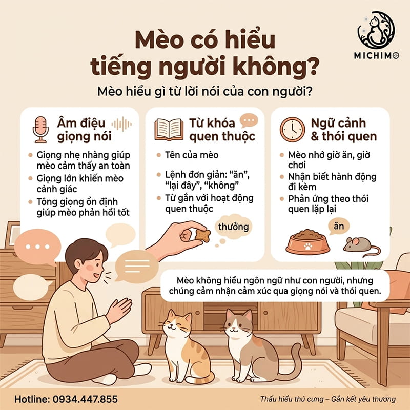 Mèo hiểu gì từ lời nói của con người?