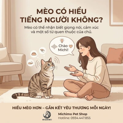 Mèo có hiểu tiếng người không?