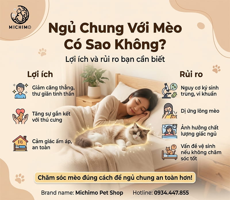 Lợi ích và rủi ro khi ngủ chung với mèo