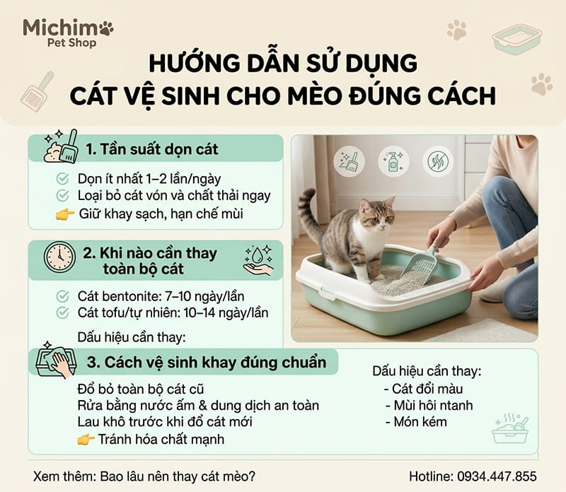 Cách sử dụng và vệ sinh khay cát