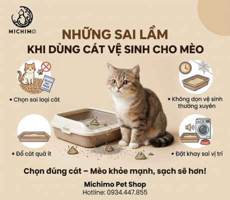 Sai làm khi dùng chát vệ sinh cho mèo