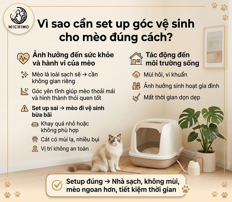 Vì sao cần set up góc vệ sinh cho mèo đúng cách?