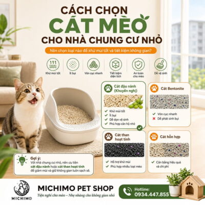 Cách chọn cát mèo cho nhà chung cư nhỏ