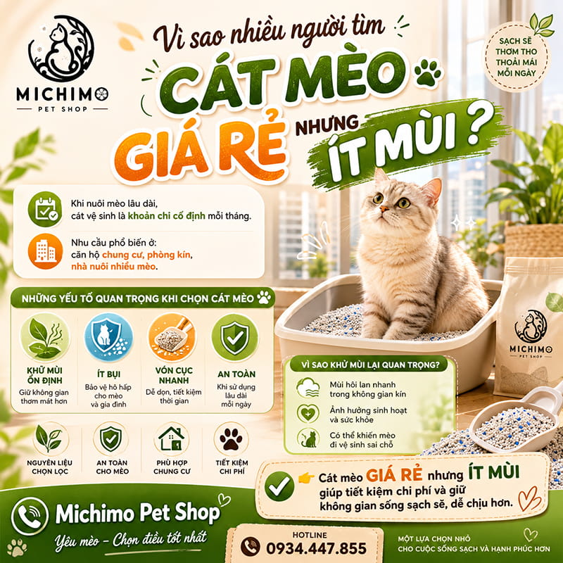 Vì sao nhiều người muốn tìm cát mèo giá rẻ nhưng ít mùi?