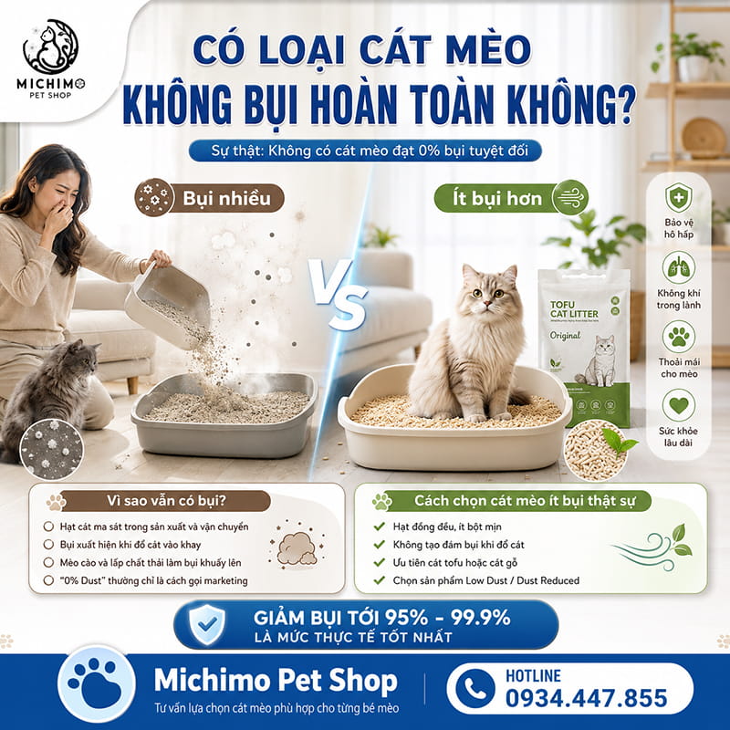 Có loại cát mèo nào không bụi hoàn toàn không?