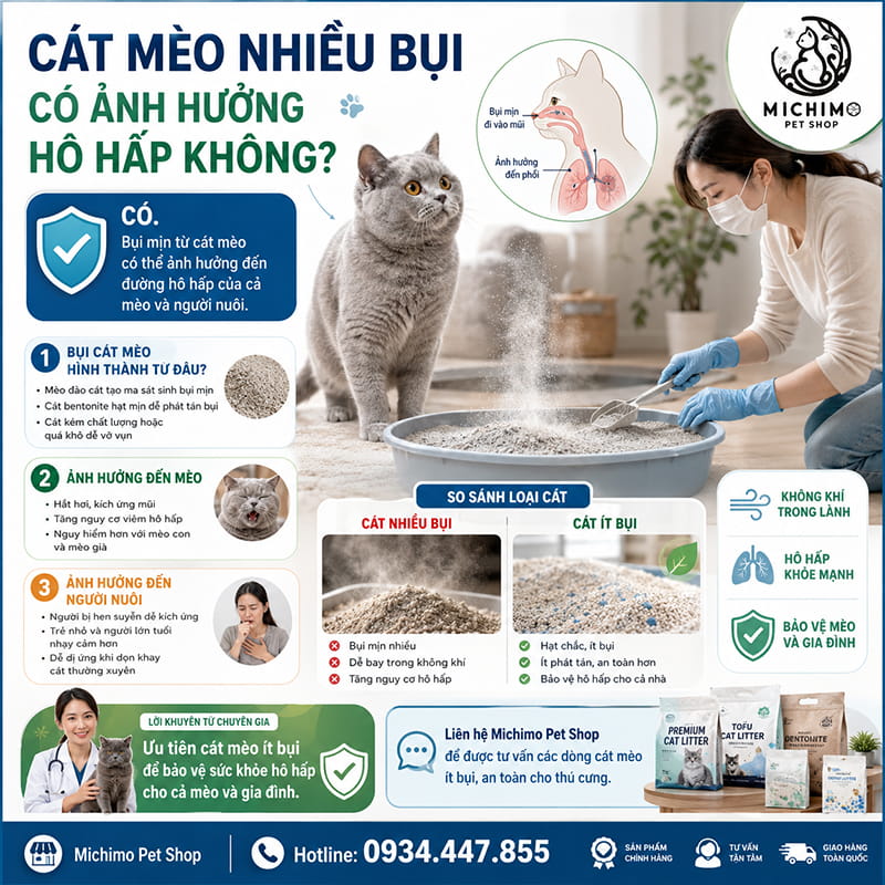 Cát mèo nhiều bụi có ảnh hưởng đến hô hấp không?