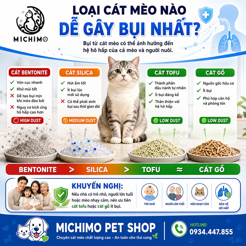 Loại cát mèo nào dễ gây bụi nhất?