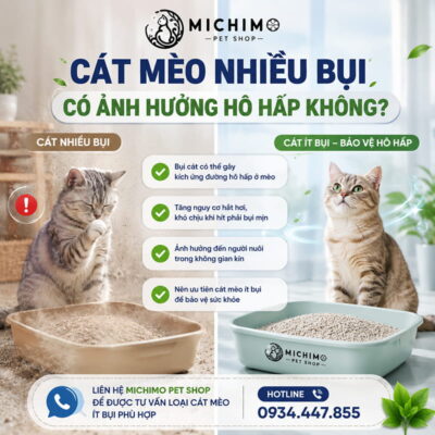 Cát nhiều bụi có ảnh hưởng hô hấp không?