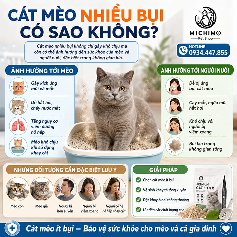 Cát mèo nhiều bụi có sao không?
