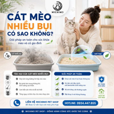 Cát mèo nhiều bụi có sao không?