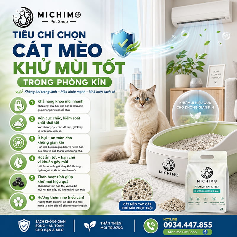 Tiêu chí chọn cát mèo khử mùi tốt trong phòng kín