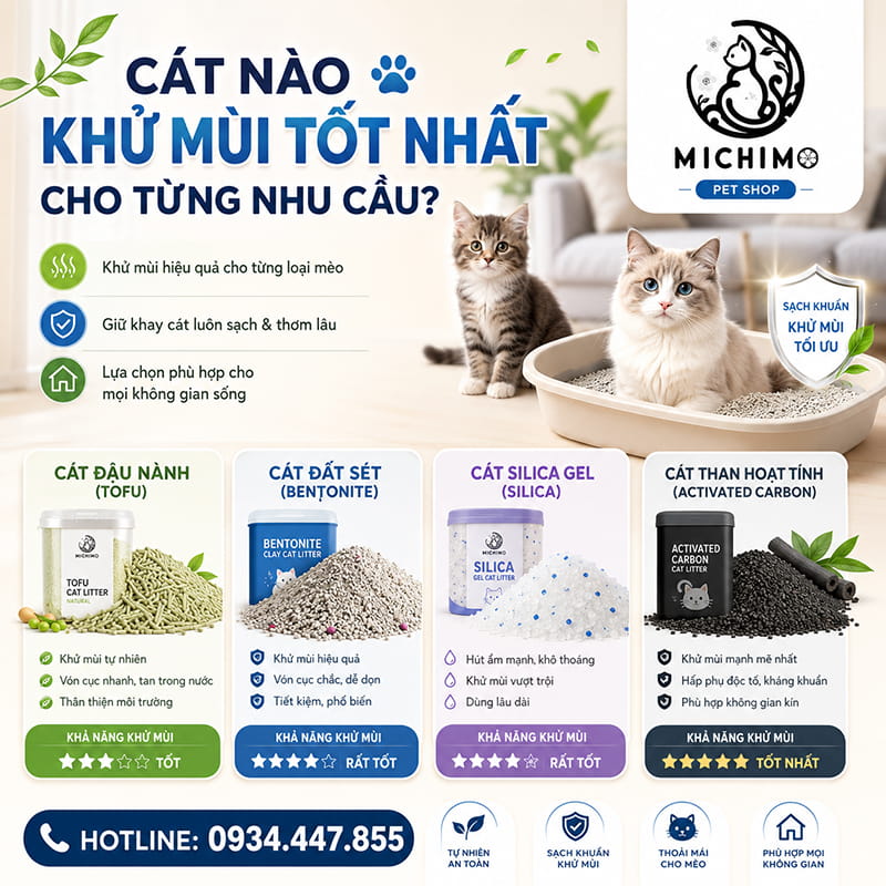 Cát nào khử mùi tốt nhất cho từng nhu cầu?