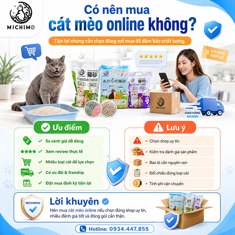 Có nên mua cát mèo online không?