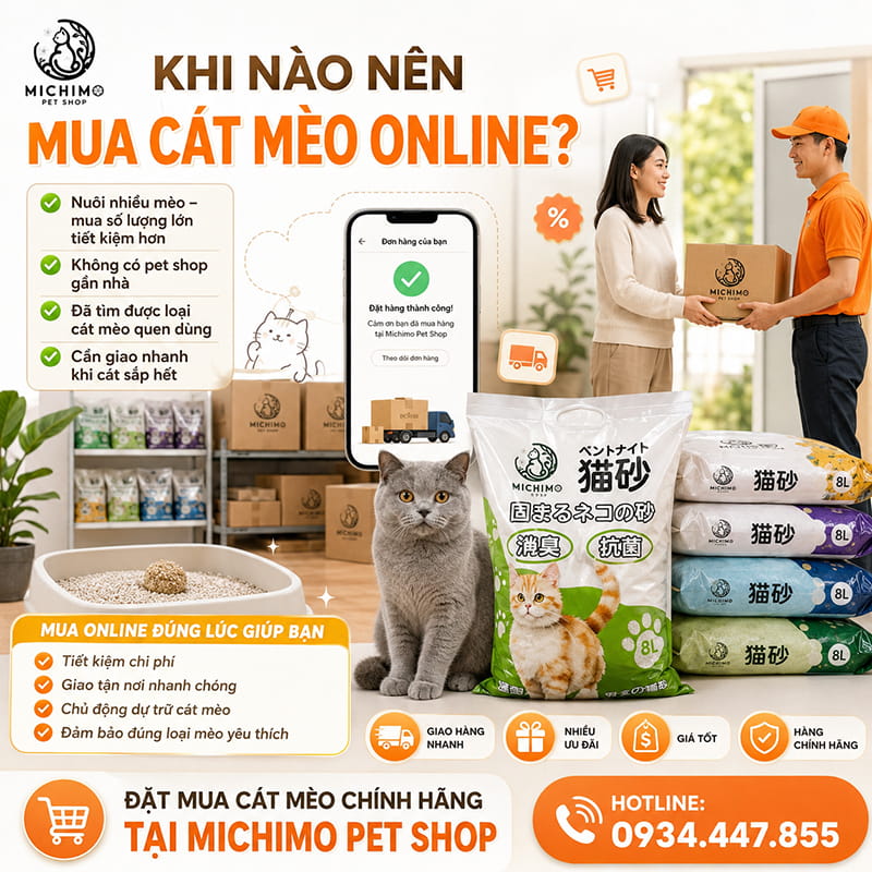 Khi nào nên mua cát mèo online?