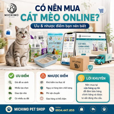 Có nên mua cát mèo online không?