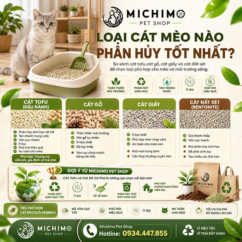 Loại cát mèo nào phân hủy tốt nhất?