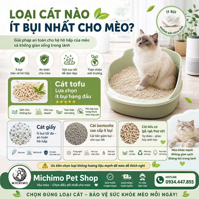 Loại cát nào ít bụi nhất cho mèo hiện nay?