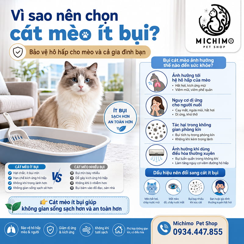 Vì sao nên chọn cát mèo ít bụi?