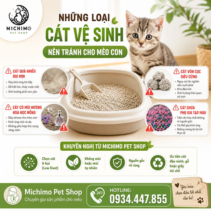 Những loại cát vệ sinh nên tránh cho mèo con
