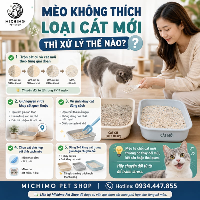 Mèo không thích loại cát mới thì xử lý thế nào?