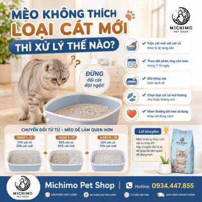 Mèo không thích loại cát mời thì xử lý thế nào?