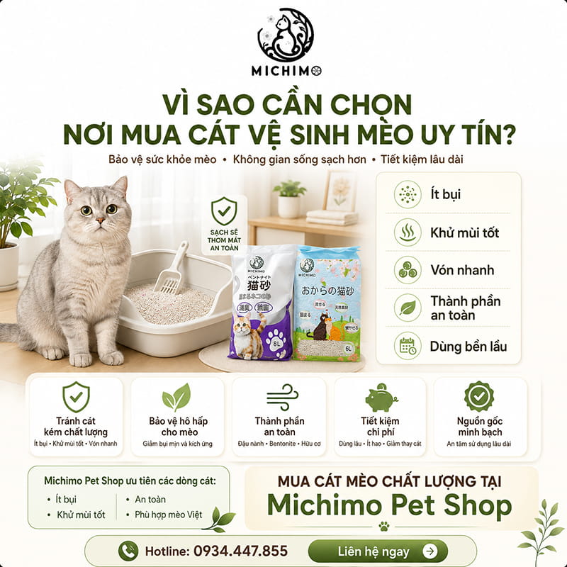 Vì sao cần chọn nơi mua cát vệ sinh mèo uy tín?