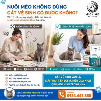 Nuôi mèo không dùng cát vệ sinh có được không?