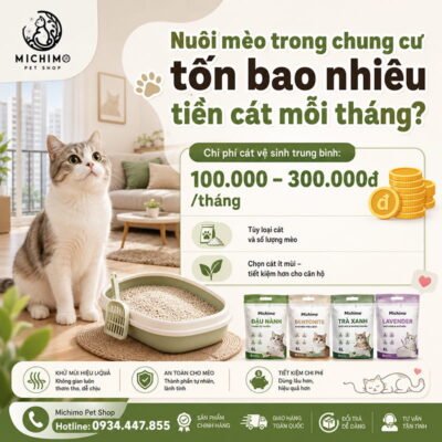 Nuôi mèo trong chung cư tốn bao nhiêu tiền cát mỗi tháng?