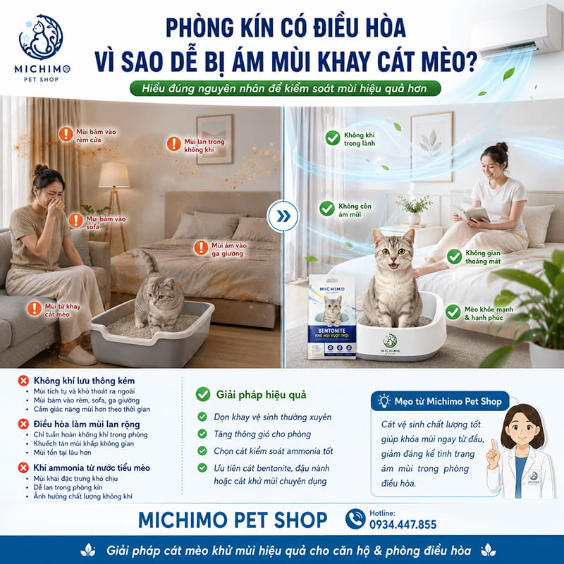 Phòng kín có điều hòa vì sao dễ bị ám mùi khay cát mèo?