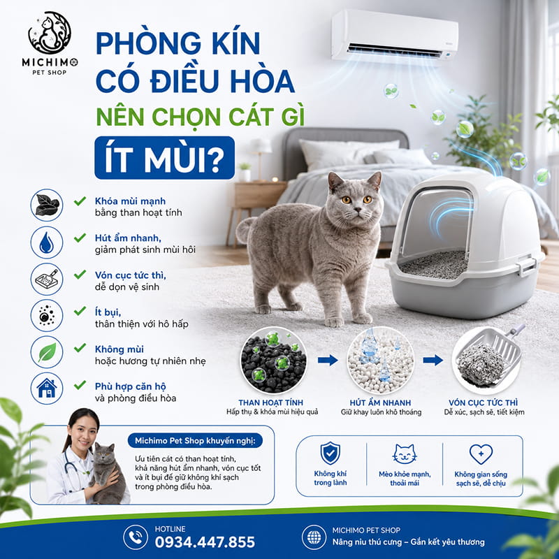 Phòng kín có điều hòa nên chọn cát gì ít mùi?