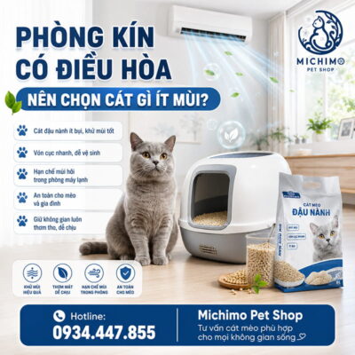 Phòng kín có điều hòa nên chọn cát gì ít mùi?