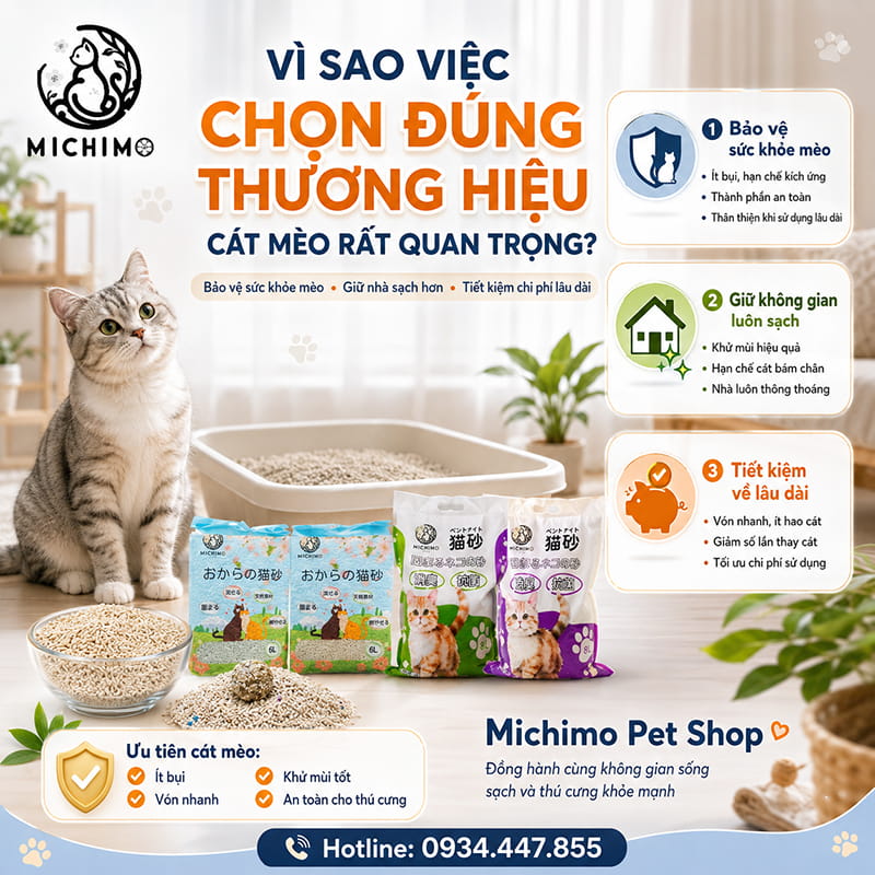 Vì sao việc chọn đúng thương hiệu cát mèo rất quan trọng?