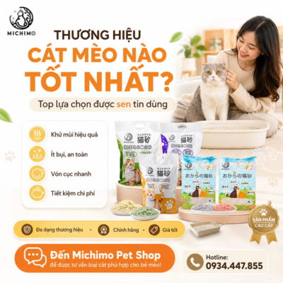 Thương hiệu cát mèo nào tốt nhất hiện nay?