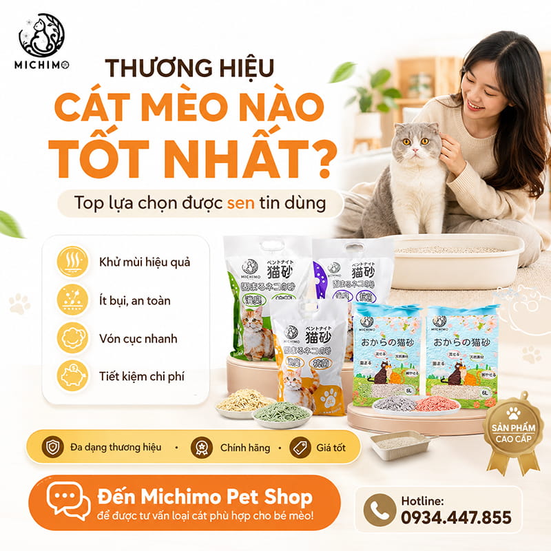 Thương hiệu cát mèo nào tốt nhất hiện nay?